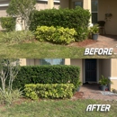 Evolution Landscapers - Lawn Maintenance