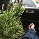 Garden Time - Fireplaces