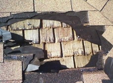 Gallery Image Number 6