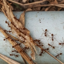 Modern Pest Management - Pest Control Equipment & Supplies