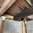 Gulf Coast Mold Assessing & Remediation - Mold Remediation