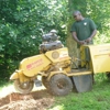 Snead's Landscaping & Tree Service LLC gallery