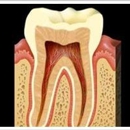 Lawrence Kotler DDS, M.S. - Endodontists