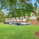 The Venue Apartment Homes - Apartments