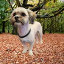Joanie's Pet Salon LLC - Pet Grooming