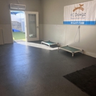 KC Dawgz Dog Training Academy
