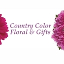 Country Color Floral & Gifts - Florists
