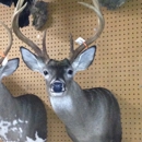 True2Life Taxidermy - Taxidermists