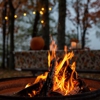 Rooted Lawn & Landscape gallery
