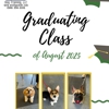 Wolf Pack Dog Training gallery
