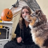 PlayStayTion Pet Resort & Training gallery