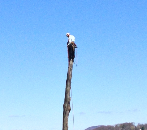 Bart's Tree Service - Danbury, CT