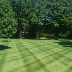 Wilkins Lawn & Landscape