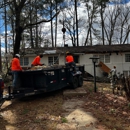 Tree and Green Services - Tree Service