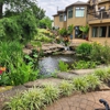 Meyer Aquascapes Inc gallery