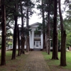 Rowan Oak gallery