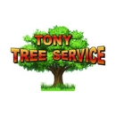 Tony Tree Service - Tree Service