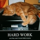 Pacific Homeworks - General Contractors