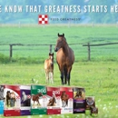 Dewitt County Producers