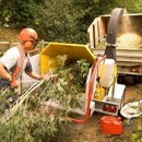 Erie Tree Trimmers - Tree Service