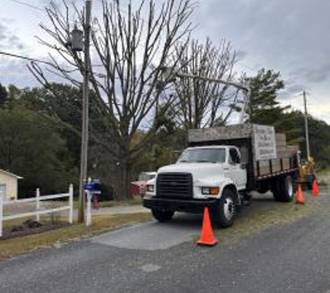 Shannon & Son's Tree Service - Yadkinville, NC