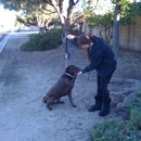 Park-A-Pet - Pet Services