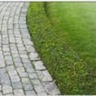 Scholl's Landscaping & Lawn Maintenance