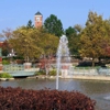 Illinois Drivers Insurance gallery