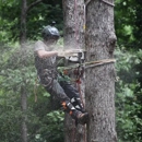 Python Tree Service - Tree Service
