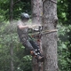 Python Tree Service