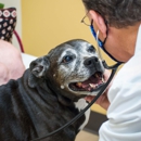 TotalBond Veterinary Hospital at Davidson - Veterinarians