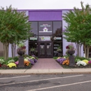 Newtown Dentistry for Adults - Dental Hygienists