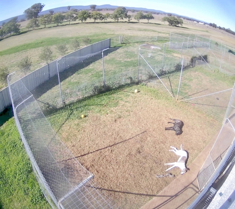 Peak Hill Boarding Kennels - Parkes, NSW