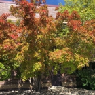 Community Living Services, Inc