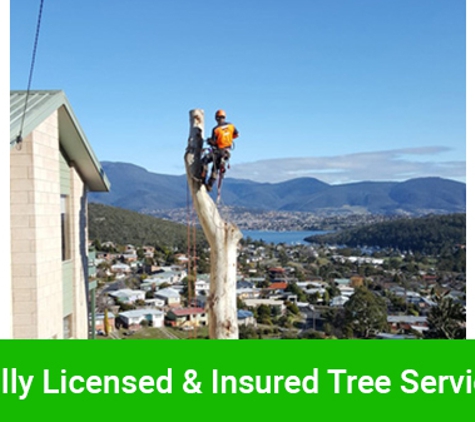 Horizon Tree Service - Lutana, TAS. Fully Licensed & Insured Tree Service
