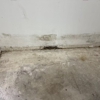 Wet to Dry Restoration gallery