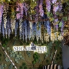Sugar Tree Cafe Nutley gallery