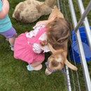 The Goddard School of Westerville - Executive Parkway - Day Care Centers & Nurseries