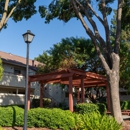 Cowell Terrace Apartments - Apartments