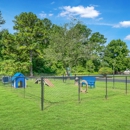 Country Club Apartments - Apartments