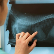 Gallery Image Number 3