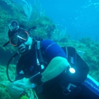 Signature Scuba Diving