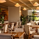 Aviv - Middle Eastern Restaurants