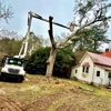 Big South Land & Tree gallery
