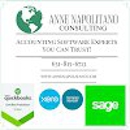 Anne Napolitano Consulting, Inc. - Business Accounting & Advisory Services - Accounting Services