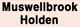 Muswellbrook Holden - Motor Cars - New