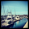 Sun Harbor Marina gallery