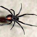 Front Range Pest Control of Ft. Collins Inc. - Pest Control Services-Commercial & Industrial