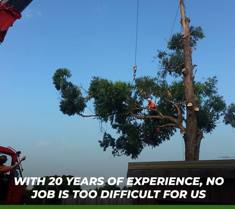 Plumb Trees - Croydon Park, NSW. With 20 Years Of Experience, No Job Is Too Difficult For Us