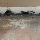 Emergency Restoration Xperts (ERX) - Building Restoration & Preservation